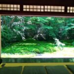 Kyoto Travelogue: The Radiant Ruriko-in Temple