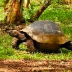 God’s Aquarium—Galápagos Islands