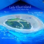 Australia’s Lady Elliot Island Guide