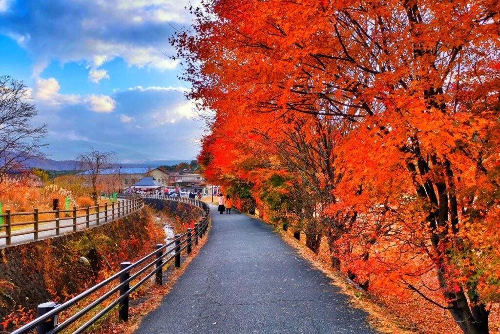 The Most Beautiful Red Leaf Town in Japan – Saiko Gassho Village